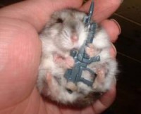 /album/galeria-de-fotos/h3-jpg1/